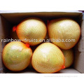 Fresh Chinese Honey Pomelo